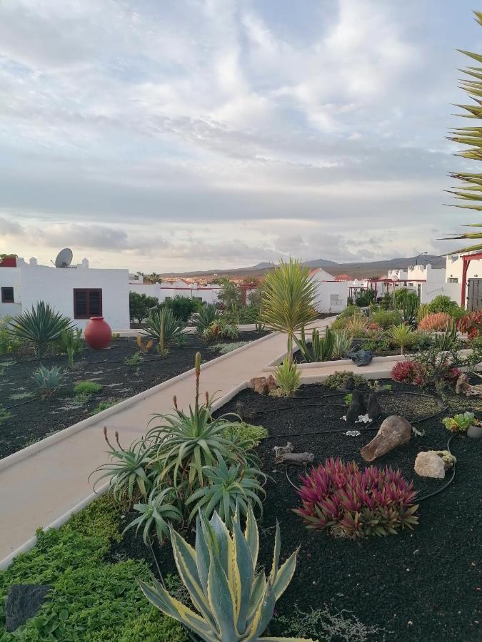 Casa Naturaleza 2 Калета де Фусте Екстериор снимка